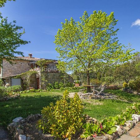 Ca'Novae - Tuscany Farmhouse Montieri Luaran gambar