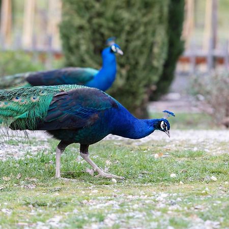 Ca'Novae - Tuscany Farmhouse Montieri Luaran gambar